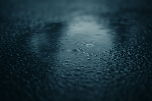Nat asfalt tijdens een rit in de regen
